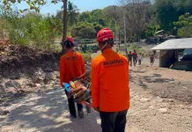 Papa Leone XIV “Vicinanza alle vittime del devastante terremoto in Indonesia”