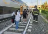 Treno investe due mucche sui binari della Roma-Firenze e deraglia vicino Montelibretti, nessun ferito
