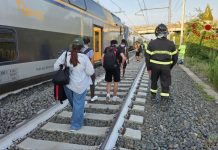 Treno investe due mucche sui binari della Roma-Firenze e deraglia vicino Montelibretti, nessun ferito
