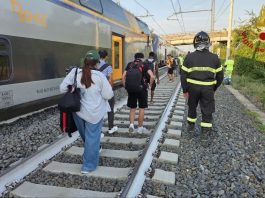 Treno investe due mucche sui binari della Roma-Firenze e deraglia vicino Montelibretti, nessun ferito