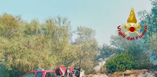 Emergenza incendi, in Sicilia 198 roghi e oltre 800 interventi dei Vigili del Fuoco da venerdì. Allerta rossa in tutte le province eccetto Trapani