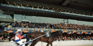 Addio a Varenne, il cavallo più forte di tutti i tempi