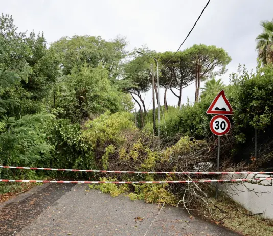 Toscana nella morsa del maltempo, tromba d’aria nel Grossetano