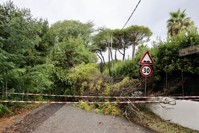 Versilia, Danni causati dal maltempo