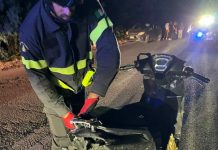Scontro tra una moto e un cinghiale, due feriti in Gallura nella notte