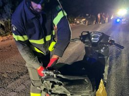 Scontro tra una moto e un cinghiale, due feriti in Gallura nella notte