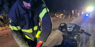 Scontro tra una moto e un cinghiale, due feriti in Gallura nella notte