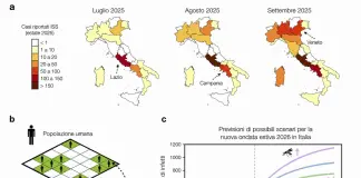 West Nile, sviluppato un modello matematico per capire le ondate epidemiche