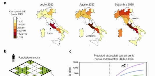 West Nile, sviluppato un modello matematico per capire le ondate epidemiche