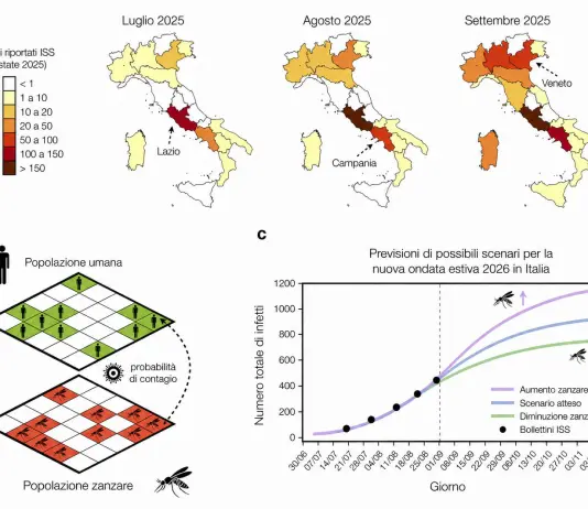 West Nile, sviluppato un modello matematico per capire le ondate epidemiche