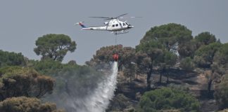 Europa occidentale si scalda più della media mondiale, cresce il rischio incendi