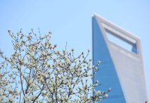 Cina amplierà apertura istituzionale del mercato dei cambi nel secondo semestre