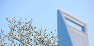 Cina amplierà apertura istituzionale del mercato dei cambi nel secondo semestre