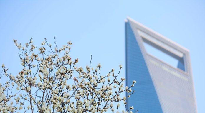 Cina amplierà apertura istituzionale del mercato dei cambi nel secondo semestre