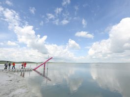 Cina: il “Lago di latte” affascina i turisti nella Mongolia Interna (3)