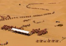 Cina: deserto, fiume Giallo, montagne e oasi attirano turisti a Shapotou (3)