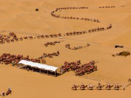 Cina: deserto, fiume Giallo, montagne e oasi attirano turisti a Shapotou (3)