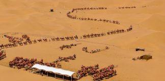 Cina: deserto, fiume Giallo, montagne e oasi attirano turisti a Shapotou (3)