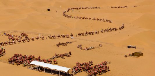 Cina: deserto, fiume Giallo, montagne e oasi attirano turisti a Shapotou (3)