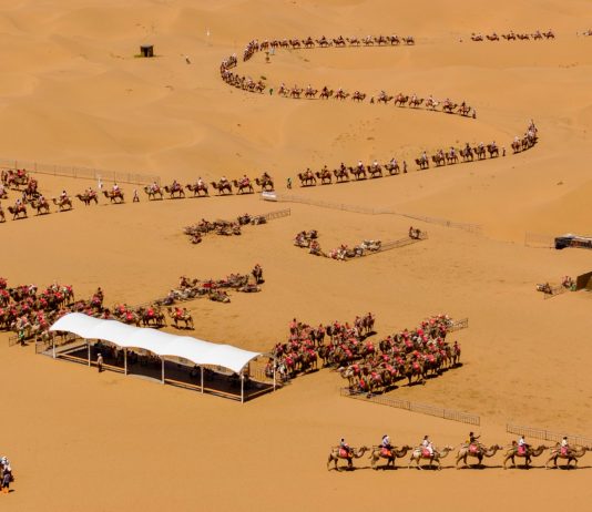 Cina: deserto, fiume Giallo, montagne e oasi attirano turisti a Shapotou (3)