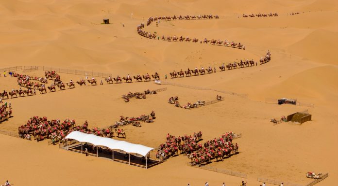 Cina: deserto, fiume Giallo, montagne e oasi attirano turisti a Shapotou (3)