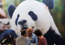 Cina: ricavi di industria pubblicitaria in aumento dell’11,3% nel primo semestre