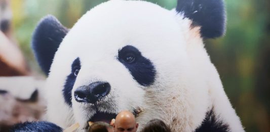 Cina: ricavi di industria pubblicitaria in aumento dell’11,3% nel primo semestre