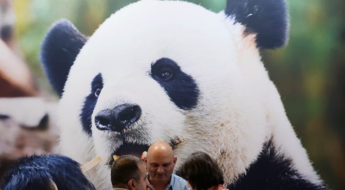 Cina: ricavi di industria pubblicitaria in aumento dell’11,3% nel primo semestre