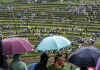 Cina: concerto tra i campi terrazzati del Guizhou (1)