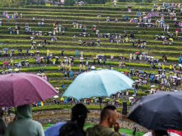 Cina: concerto tra i campi terrazzati del Guizhou (1)