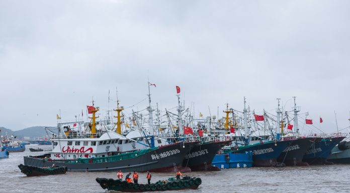 Cina: riprende la pesca nel Mar Cinese Orientale dopo stop estivo (1)