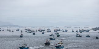 Cina: riprende la pesca nel Mar Cinese Orientale dopo stop estivo (3)