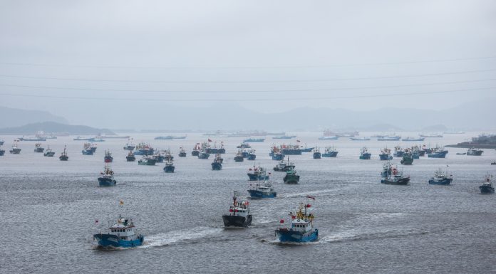 Cina: riprende la pesca nel Mar Cinese Orientale dopo stop estivo (3)