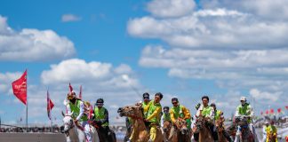 Cina: Xizang, al via il Nagqu Horse Racing Festival 2026 (3)