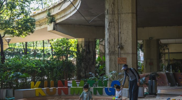 Cina: Kunming, aree sotto ponti e cavalcavia diventano spazi pubblici (2)