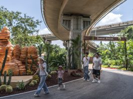 Cina: Kunming, aree sotto ponti e cavalcavia diventano spazi pubblici (3)