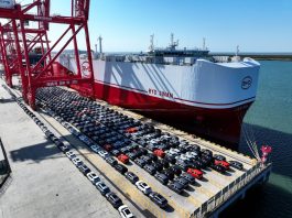 Cina: quota mensile di vendita NEV supera per la prima volta il 60%