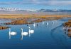 Cina: maggior tutela ecologica per rendere ecosistemi più resilienti entro 2030