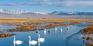 Cina: maggior tutela ecologica per rendere ecosistemi più resilienti entro 2030
