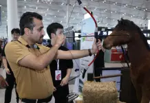 Cina: C919, al via la prima rotta commerciale internazionale (1)