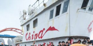 Cina: granchi freschi al mercato ittico di Zhoushan (2)