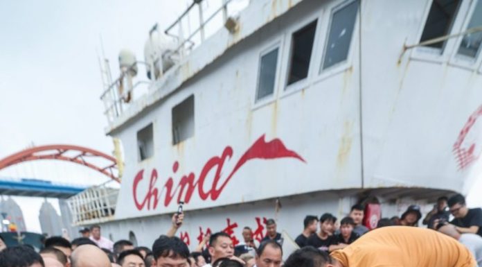 Cina: granchi freschi al mercato ittico di Zhoushan (2)
