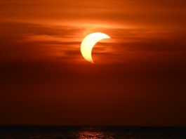 Eclissi solare parziale sul mare a Ladispoli (2)
