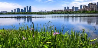 Cina: funzionario, elaborato nuovo piano d’azione per migliore qualità dell’aria