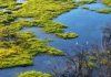 Cina: entra in vigore storico Codice ecologico e ambientale per promuovere modernizzazione sostenibile