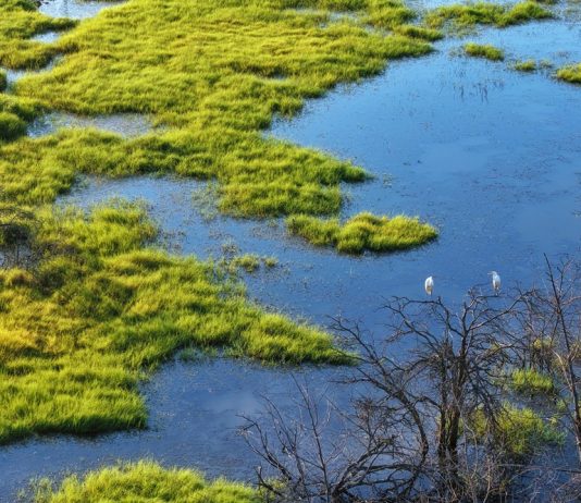 Cina: entra in vigore storico Codice ecologico e ambientale per promuovere modernizzazione sostenibile