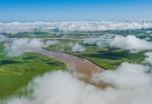 Cina: realizzati progetti di ripristino ecologico della zona umida di Zoige (1)