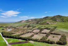 Cina: realizzati progetti di ripristino ecologico della zona umida di Zoige (2)