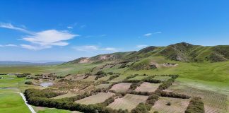 Cina: realizzati progetti di ripristino ecologico della zona umida di Zoige (2)