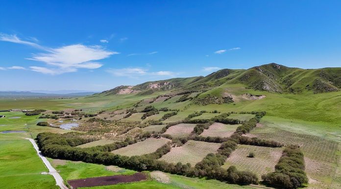 Cina: realizzati progetti di ripristino ecologico della zona umida di Zoige (2)